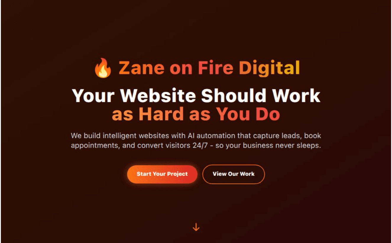 Zane on Fire Digital - Agency Website Screenshot